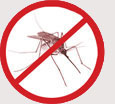 Pest Control Colchester - Mosquettos & Flys